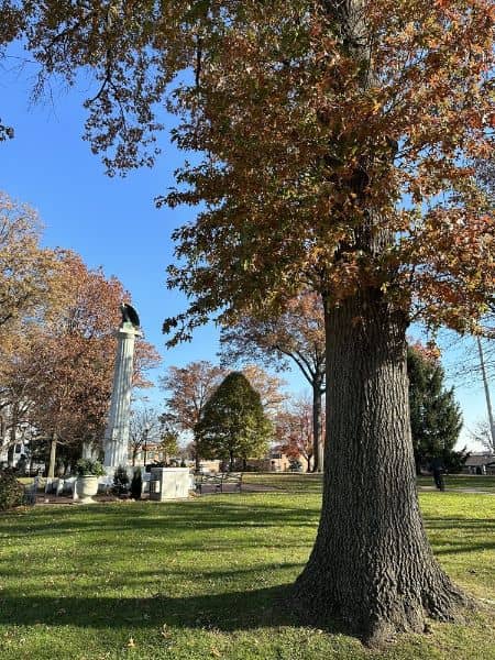 Van Neste Square Memorial Park - Image 2