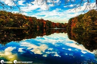 Tibbetts Brook Park - Image 4