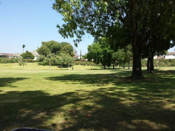 Gingrich Park - Image 2