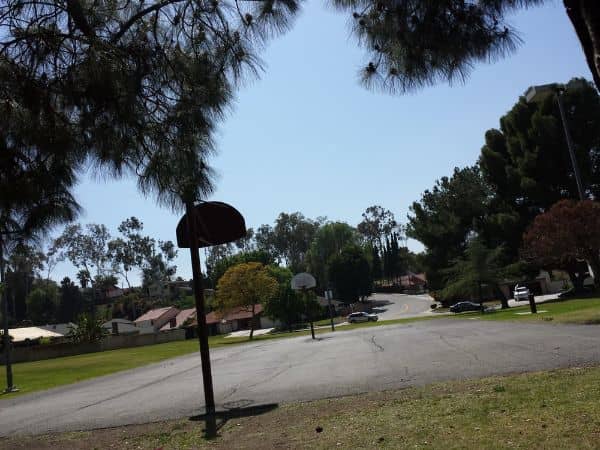 Gingrich Park - Image 3