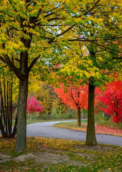 Roxbury Park - Image 3
