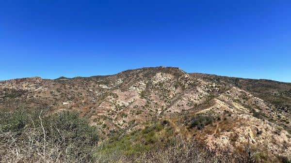 Cameron Nature Preserve at Puerco Canyon - Image 2