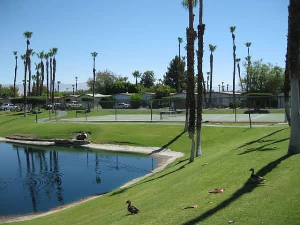 Desert Sands Park - Image 3