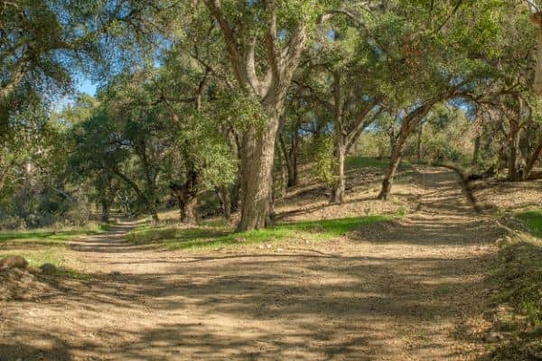 Whitney Canyon Park - Image 3