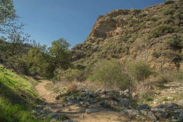 Whitney Canyon Park - Image 3