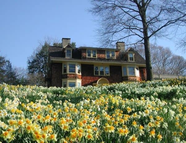 Reeves-Reed Arboretum - Image 5