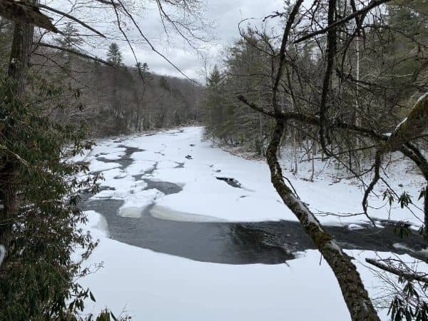 Neversink Preserve - Image 3