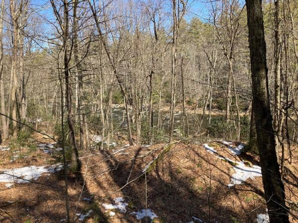 Neversink Preserve - Image 2