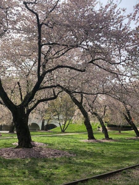 Brandywine Park - Image 2