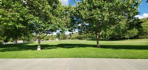 Coyote Hills Park - Image 5
