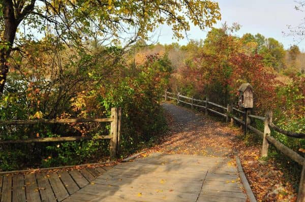 Environmental Education Center - Image 3