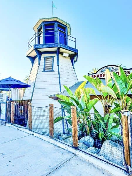 Knott's Soak City - Image 4