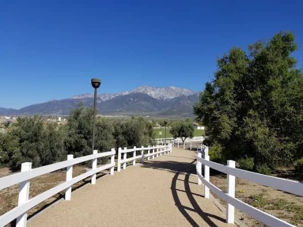 Olive Grove Park - Image 2