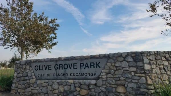 Olive Grove Park - Image 3