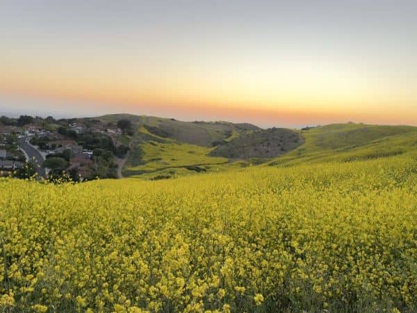 Chino Hills State Park - Image 5