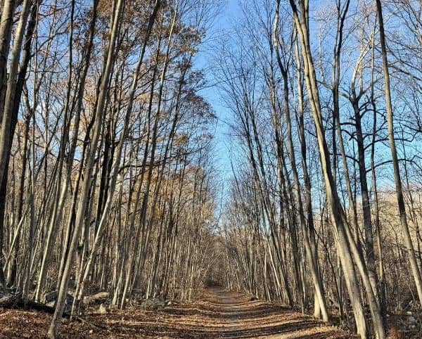 Sussex Branch Trail Access Newton North - Image 2