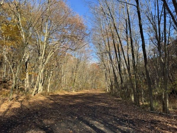 Sussex Branch Trail Access Newton North - Image 3