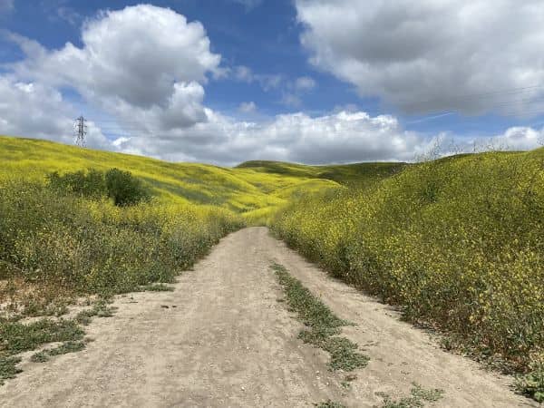Carbon Canyon Regional Park - Image 3