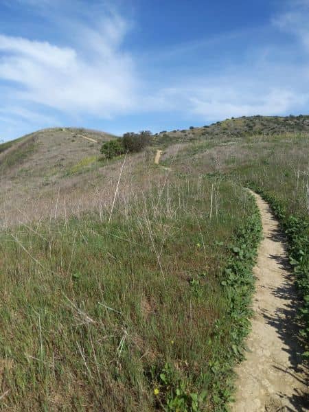 Carbon Canyon Regional Park - Image 2