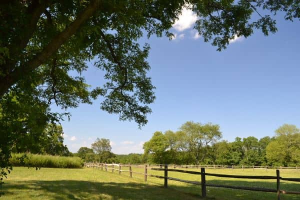 Muttontown Preserve - Image 3