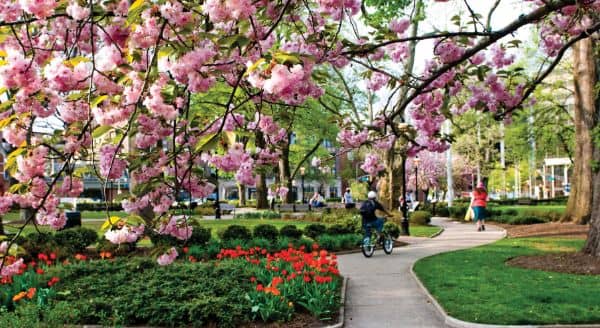 Morristown Green - Image 3