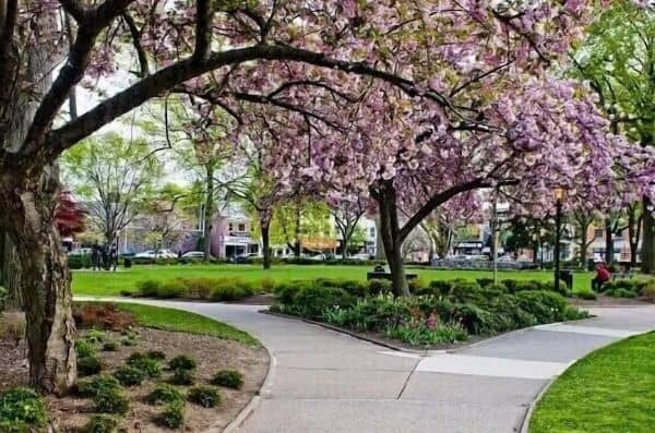 Morristown Green - Image 2