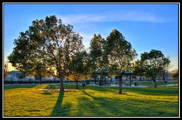 San Sevaine Park - Image 2