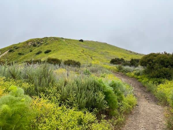 Sara Wan Trailhead at Corral Canyon - Image 1
