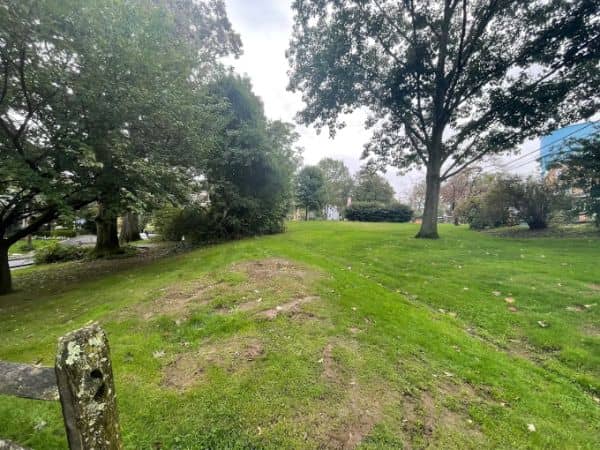 Geohegan Park - Image 3
