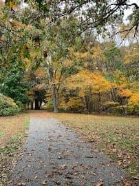Gallaher Mansion and Cranbury Park - Image 2