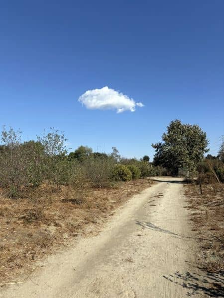 Whittier Narrows Natural Area - Image 5