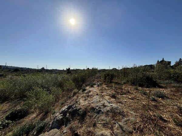 Whittier Narrows Natural Area - Image 4