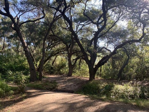 Whiting Ranch Wilderness Park - Image 4
