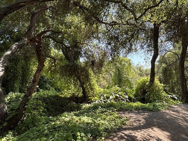 Whiting Ranch Wilderness Park - Image 5