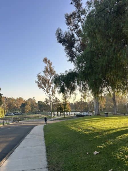 Craig Park Lake - Image 3