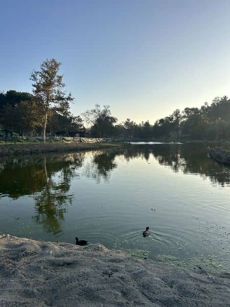Craig Park Lake - Image 5