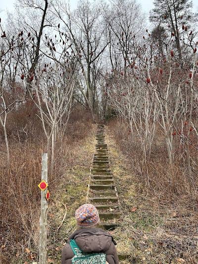 Ives Trail - Image 3