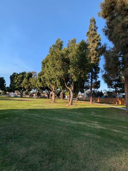 Gerdes Park - Image 3