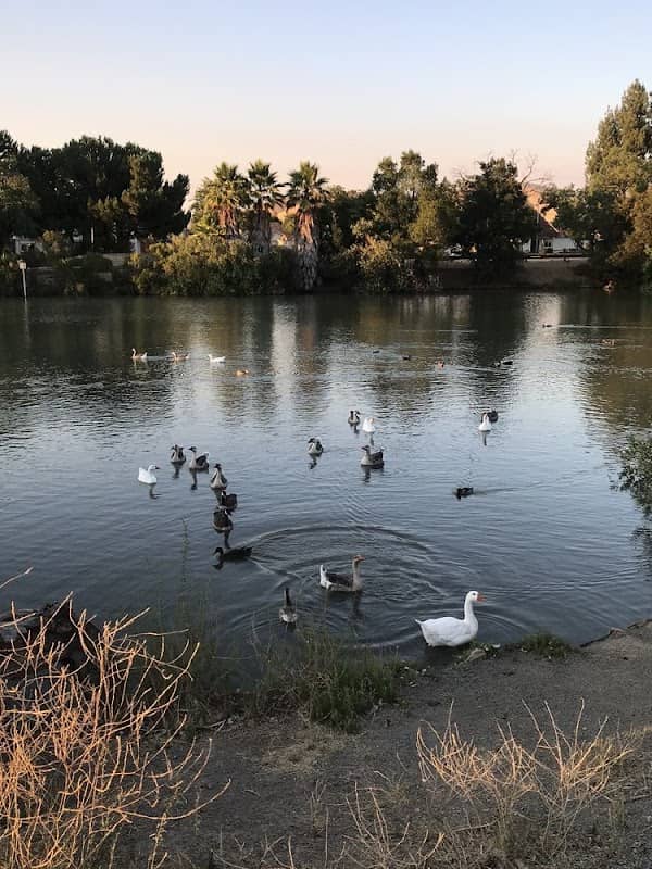 Newhall Community Park - Image 2