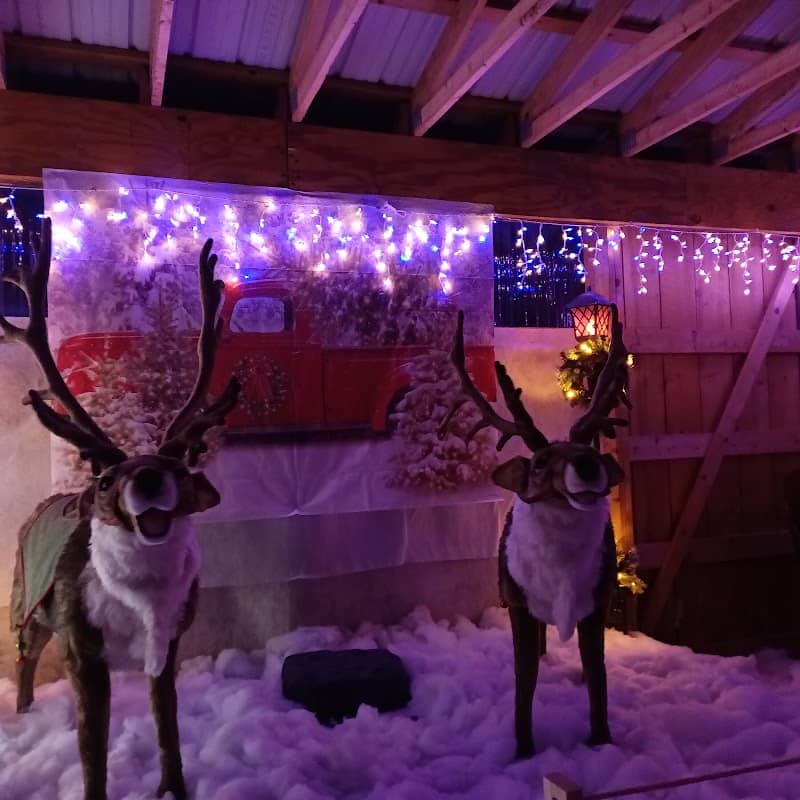 Christmas at Animal Land - Image 1