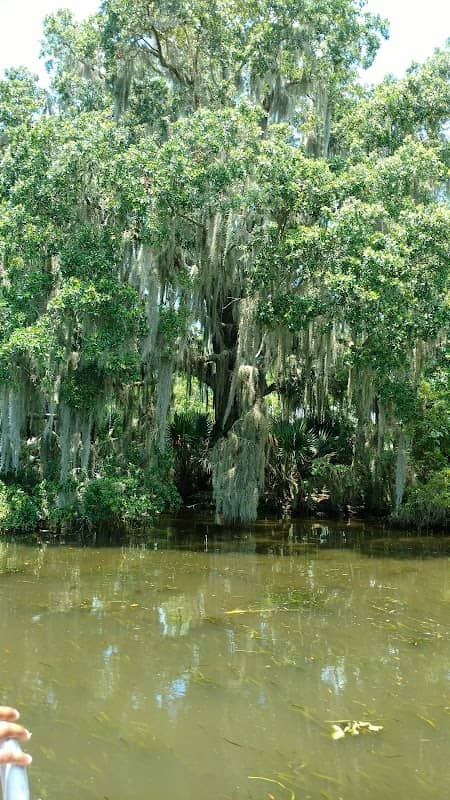 Cajun Tours & Cruises Inc - Image 2