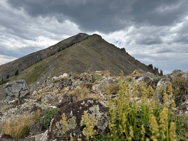 Peak One - Image 1