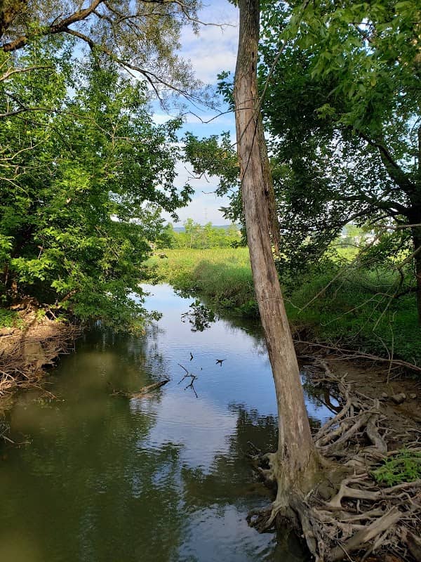 Friends of Wildwood Lake Nature Center, Inc. - Image 2