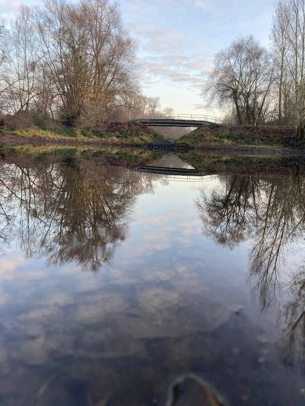 Baubrücke über den Nordheimer Altrhein - Image 1