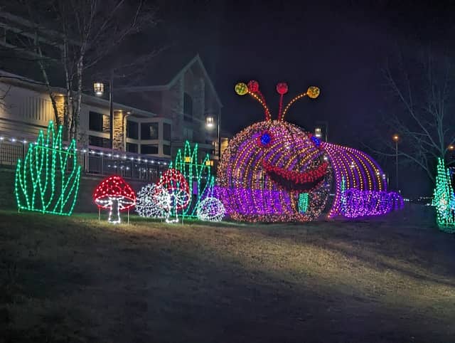 Winterfest Riverwalk - Image 2