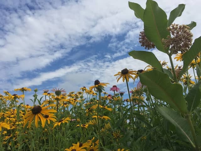 Spartan Prairie - Image 1