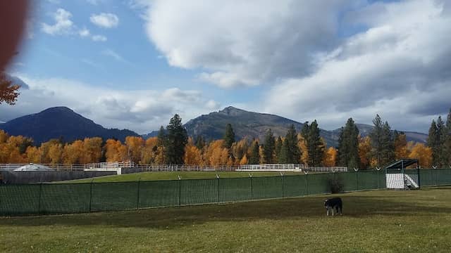 Hamilton Dog Park - Image 1