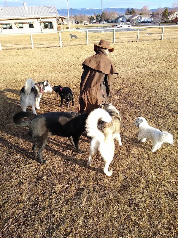 Hamilton Dog Park - Image 2