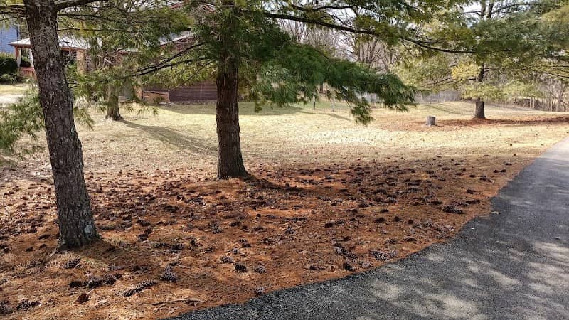Willow Pond Park - Image 2