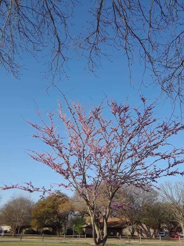 Terrace Gardens Park - Image 1